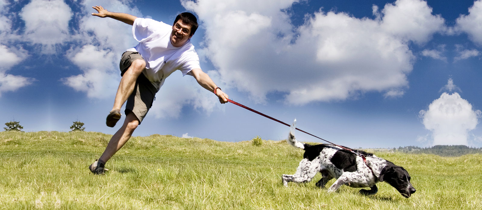 Why does my dog pull on the leash - Shirin Merchant