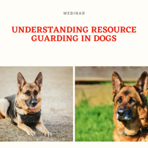 In this webinar you will learn how the behaviour starts, its progression and how to resolve it without getting bitten.