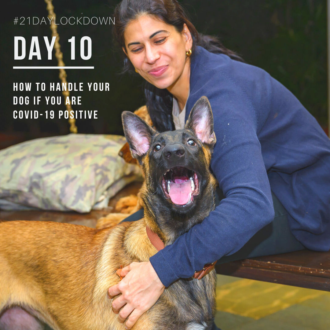 21 Day Dog Challenge – Day 10 