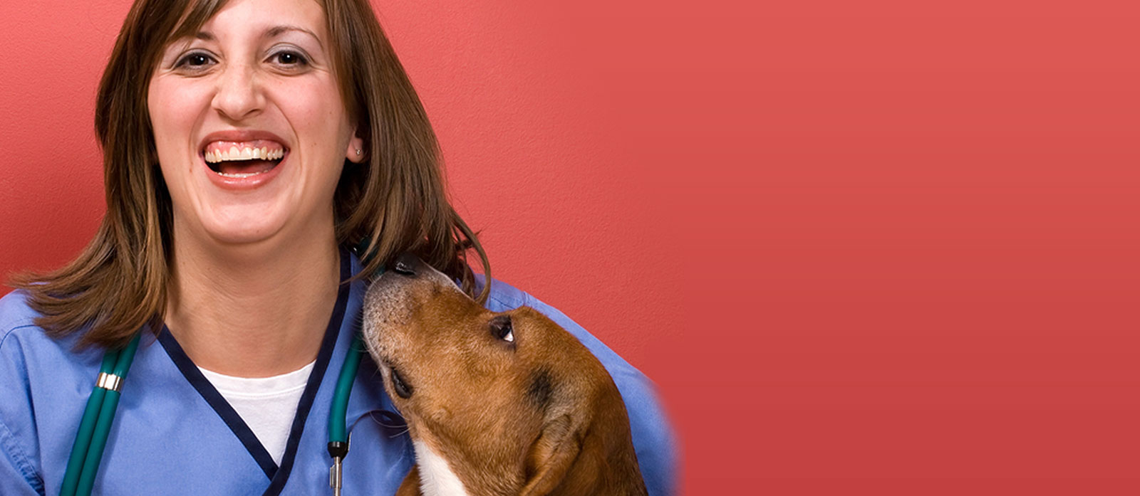 Help Your Vet To Help Your Pet!