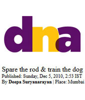 Lifestyle – DNA<br>Mumbai